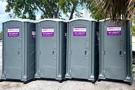 Types of Portable Toilets We Offer in Orting, WA